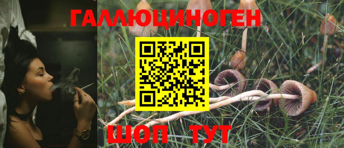 Балашиха  Галлюциногенные грибы Magic Shrooms  Вход с VPN  Галлюциногенные грибы MAGIC MUSHROOMS 