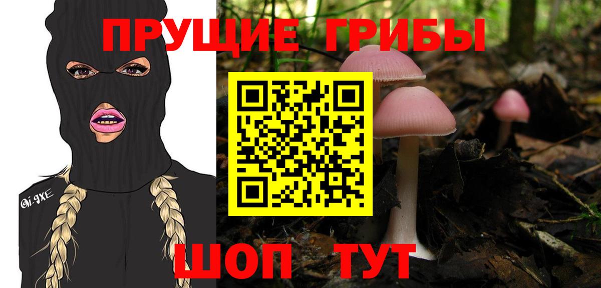 Галлюциногенные грибы Psilocybe Балашиха